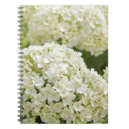 White Hydrangea Anteckningsbok