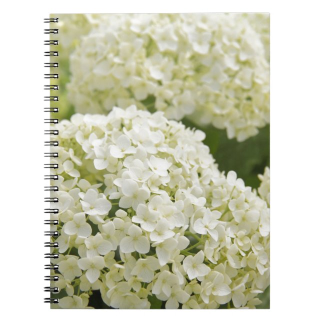 White Hydrangea Anteckningsbok (Framsidan)