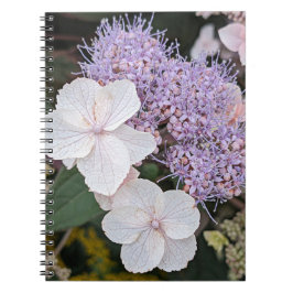 White Hydrangea Aspera Flowers Blommigt Anteckningsbok