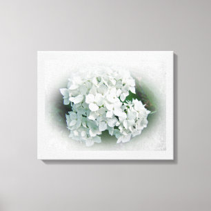 White Hydrangea Flowers Canvastryck
