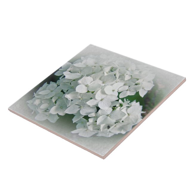 White Hydrangea Flowers Kakelplatta (Sidan)