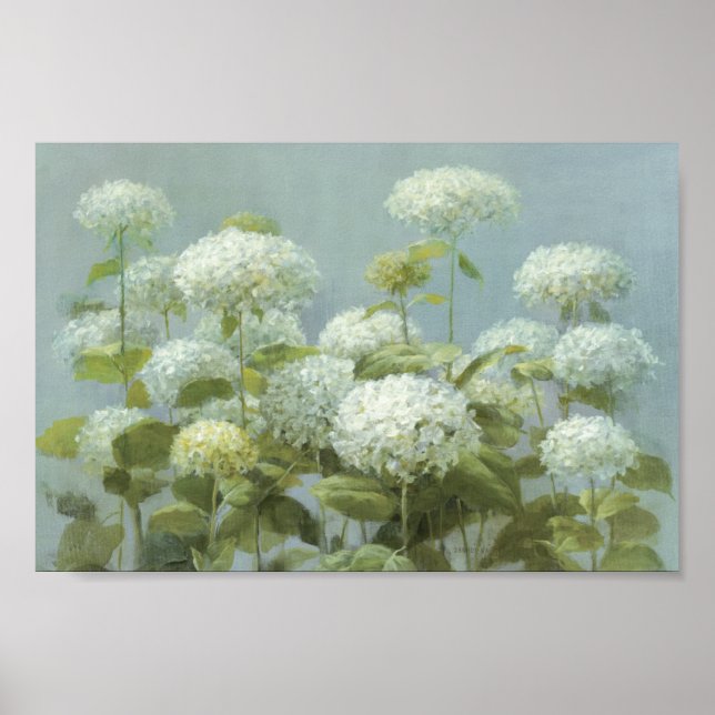 White Hydrangea Garden Poster (Framsidan)