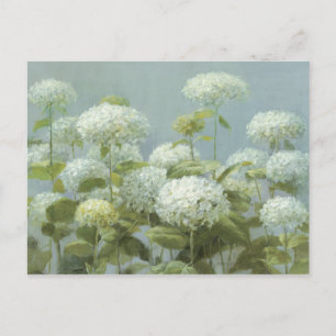 White Hydrangea Garden Vykort