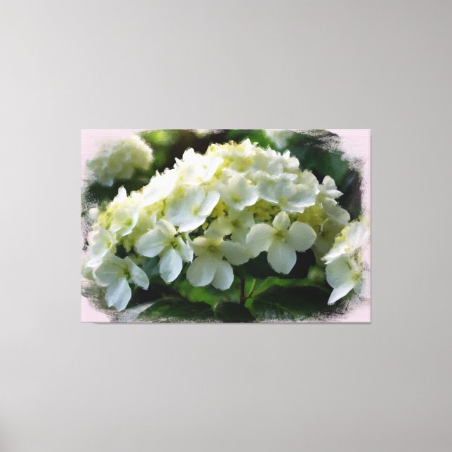 *~* White Hydrangea TV2 Art Stretched Kanvastryck (Framsida)
