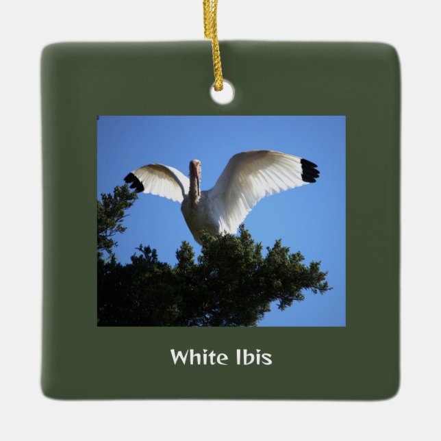 White Ibis Bird Ornament (Framsida)