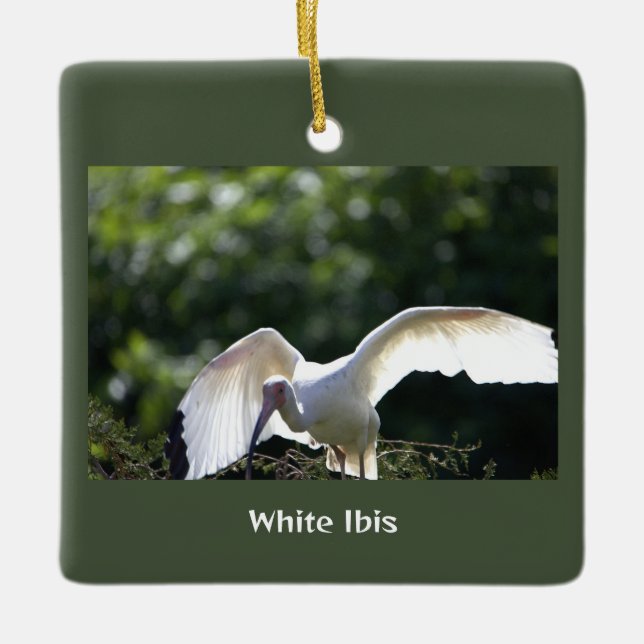 White Ibis Bird Ornament (Framsida)