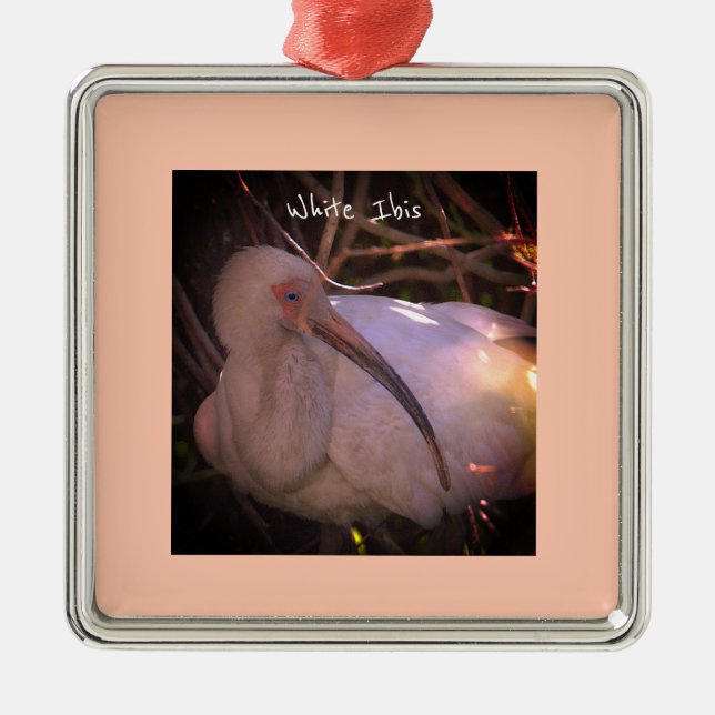White Ibis Bird Photo Ornament (Framsidan)