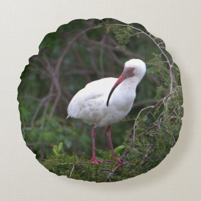White Ibis Bird Pillow Rund Kudde (Framsidan)