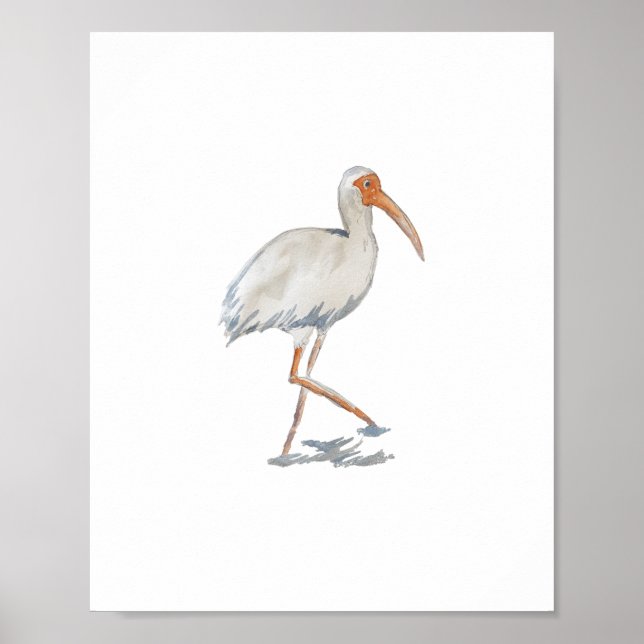 White Ibis Florida Bird Nature Painting Poster (Framsidan)