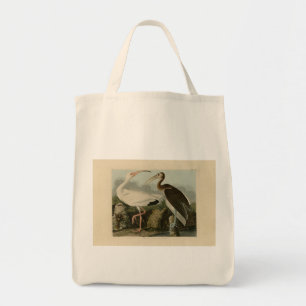 White Ibis - John James Audubon's Birds of America Tygkasse