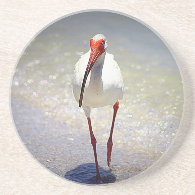 White Ibis Strut Underlägg (Framsidan)
