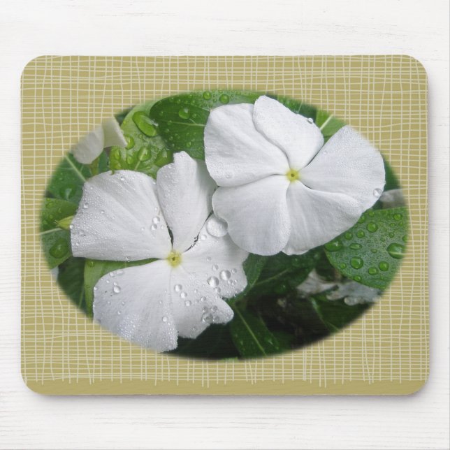 White Impatiens Flowers Musmatta (Framsidan)