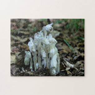 White Indian Pipe Ghost Flower Wildblommor Pussel