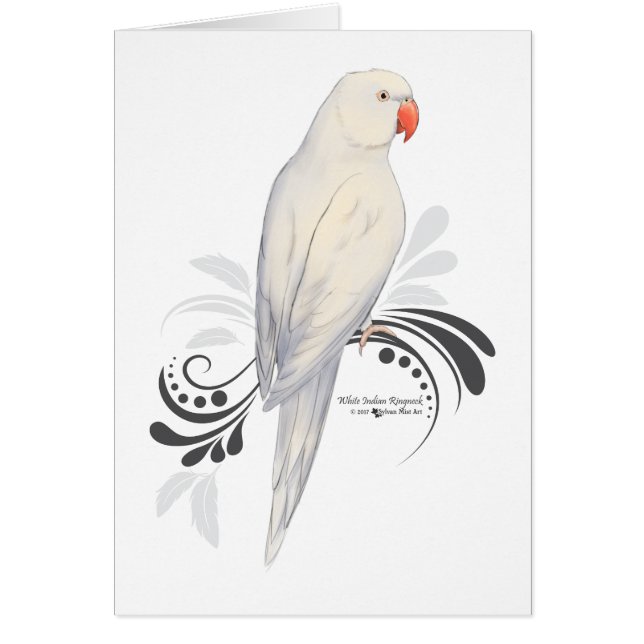 White Indian RingnackParrot Hälsningskort (Framsidan)