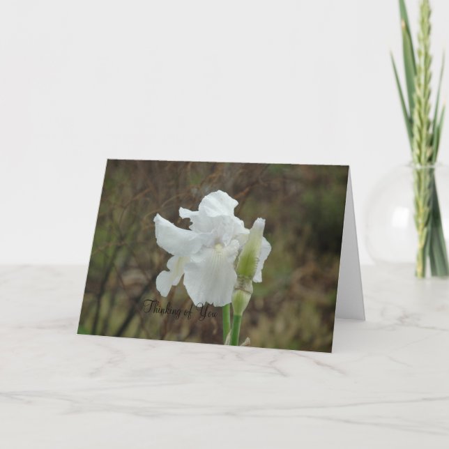White Iris Sympathy Kort (Framsida)