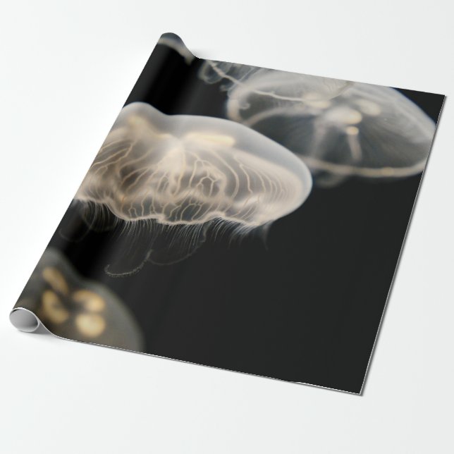 WHITE JELLYFISH PRESENTPAPPER (Utrullad)