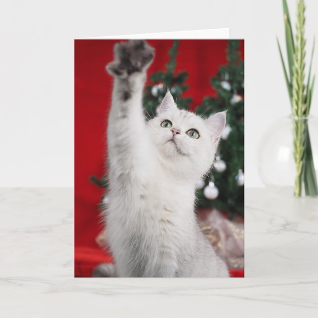 White JULAFTON Cat Helgkort (Framsida)