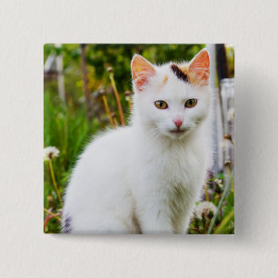 White Kitten Button Knapp