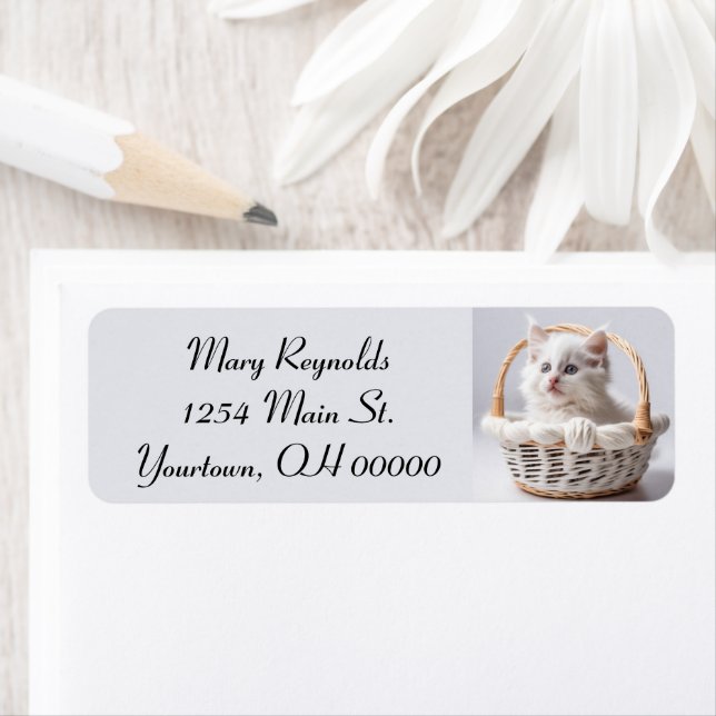White Kitten i Basket Returadress Etikett (Insitu)