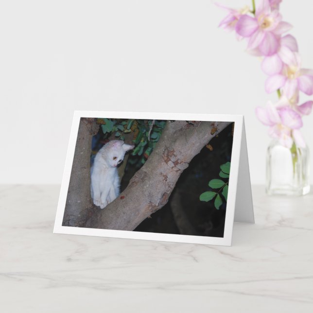 White Kitten i Träd Porträtt Kort (Orkide)