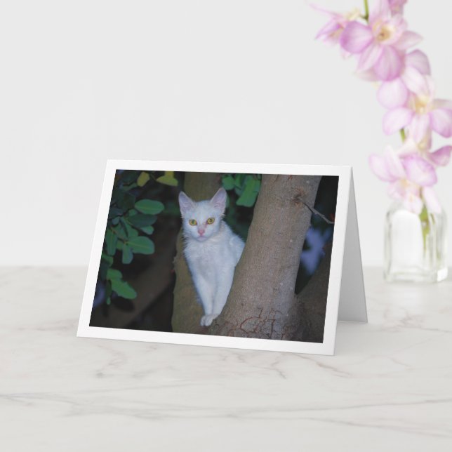 White Kitten i Träd Porträtt Kort (Orkide)