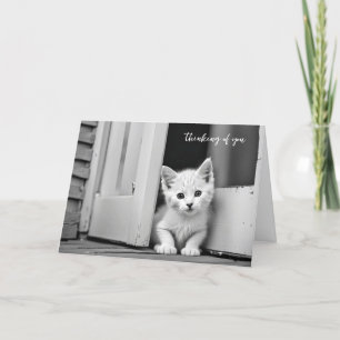 White Kitten in Doorway tänker på dig Kort