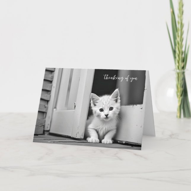 White Kitten in Doorway tänker på dig Kort (Framsida)