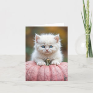 White Kitten On Rosa Pumpkin Kort