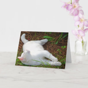 White Kitten på Gräs Nål Kort
