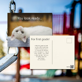 White Kitten Welcome Back to school Postcards Vykort