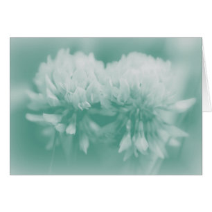 White Klöver Wildblommor Hälsningskort