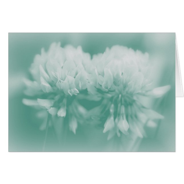 White Klöver Wildblommor Hälsningskort (Framsidan Horizontal)