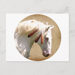 White Krig Horse Vykort