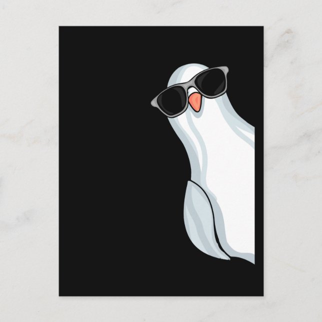 White Kung Pigeon Fcing Manar Pigeon Tävla Pigeon Vykort (Framsida)