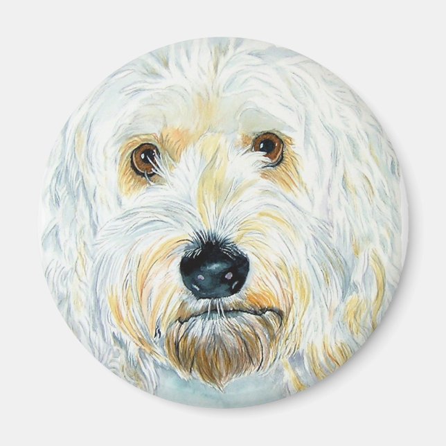 White Labrdoodle Maggie Magnet (Framsidan)