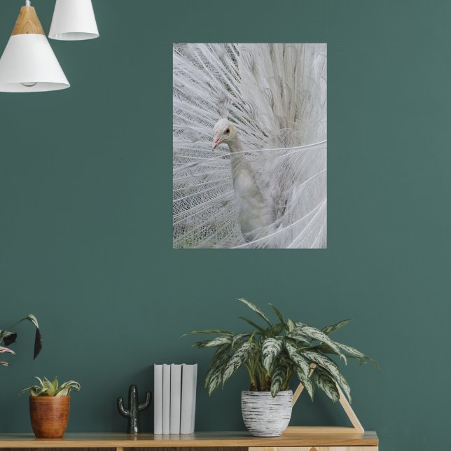 White Lace-affisch Poster (Vardagsrum 1)