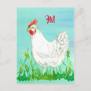 White Leghorn Chicken Bird Hi Vykort