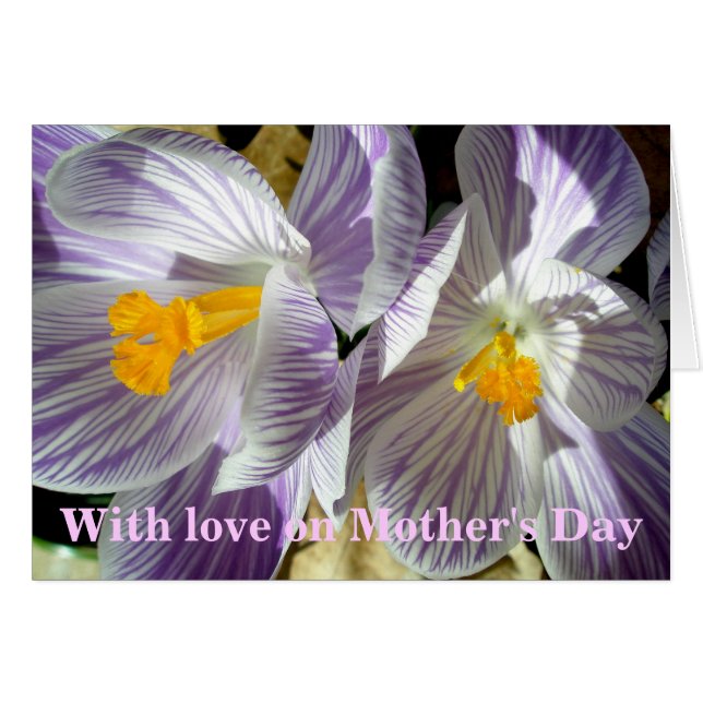 White Lila Crocuses Mors dag Card Hälsningskort (Framsidan Horizontal)