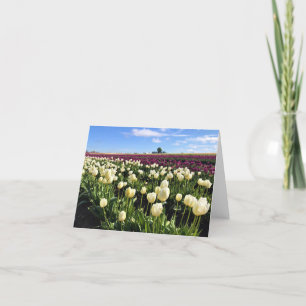 White & Lila Tulip Fält med Luftballong Tack Kort