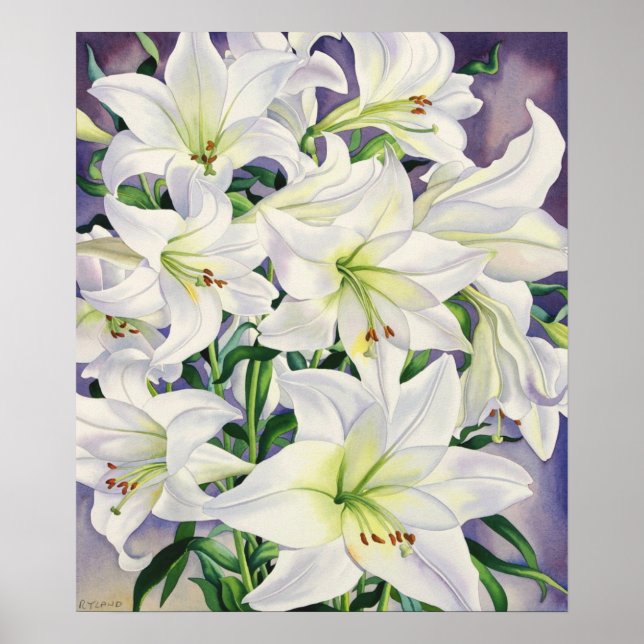 White Lilies 2008 Poster (Framsidan)