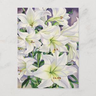 White Lilies 2008 Vykort