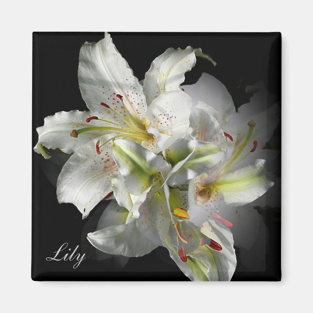 White Lilies Fantasy Magnet (Framsidan)
