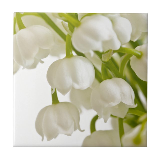 White Lilies Kakelplatta (Framsidan)
