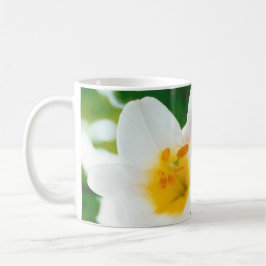 White Lilies - Lily Flower Lilium candidum Kaffemugg