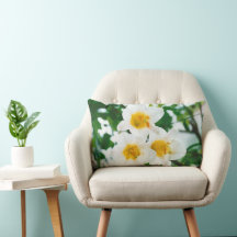 White Lilies - Lily Flower Lilium candidum