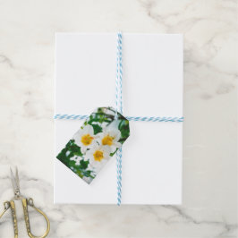 White Lilies - Lily Flower Lilium candidum Presentetikett