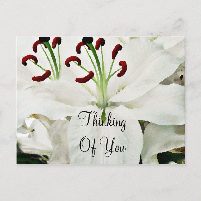 White Lilies_ Vykort (Framsida)