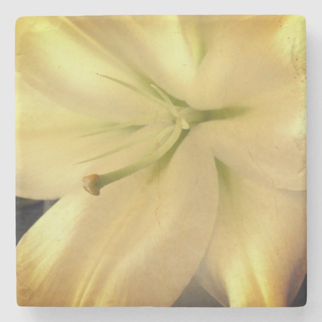 White Lillum Flower Photo Marble Stone Underlägg Sten (Framsidan)