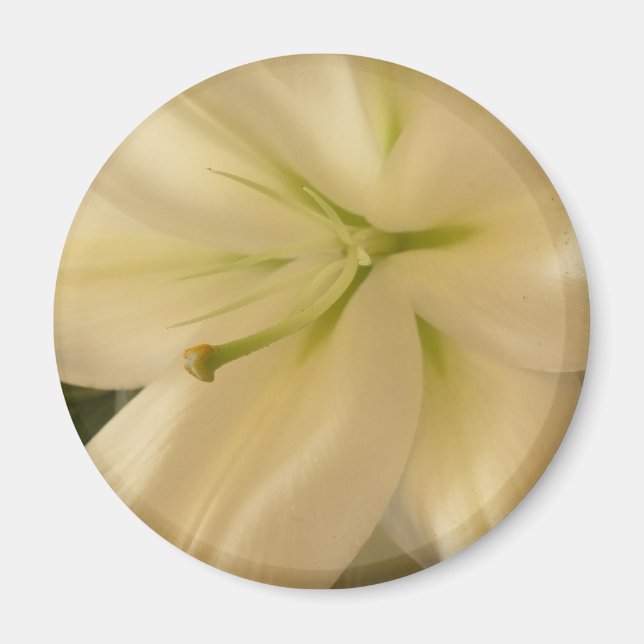 White Lillum Flower Photo Round Magnet (Framsidan)