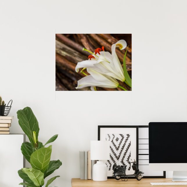 White Lily Affisch (Hemmakontoret)